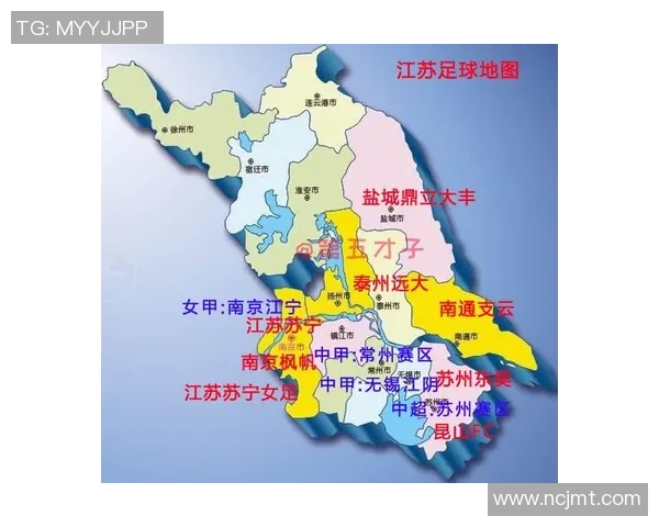 贵州足球明星的崛起与发展历程探讨